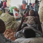 OAS unveils $2.6B Haiti roadmap with $1.3B allocated to security, sparking debate over funding